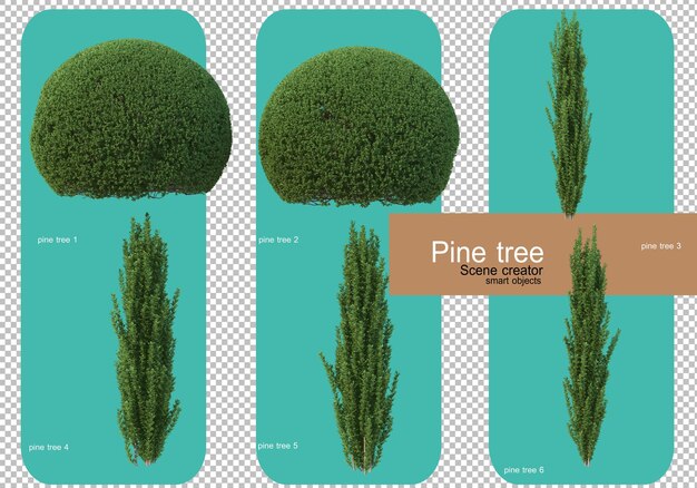 Various forms of pine trees rendering