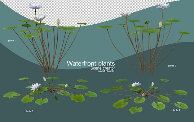 PSD さまざまな種類のウォーターフロントの植物