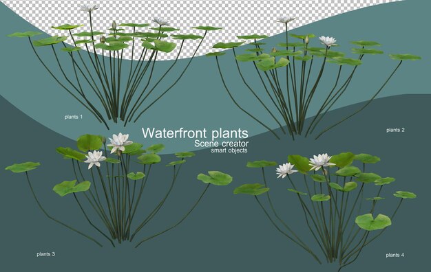 PSD さまざまな種類のウォーターフロントの植物