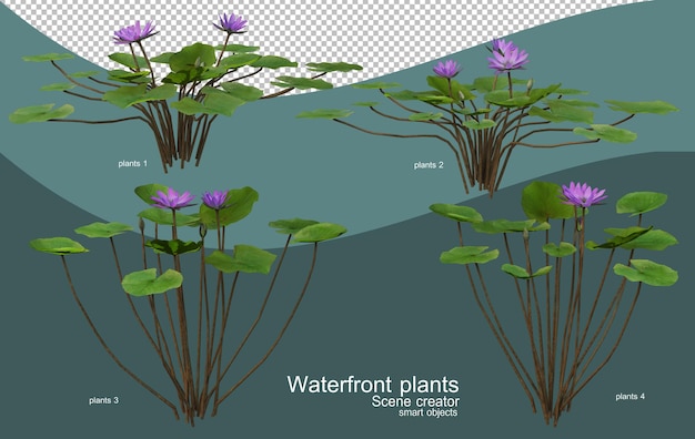 PSD various kinds of waterfront plants