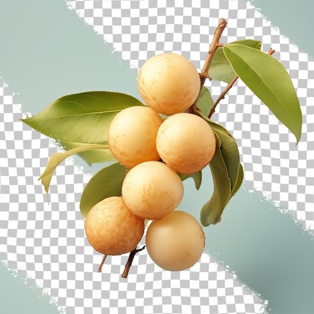 PSD various melons with green leaves on a transparent background