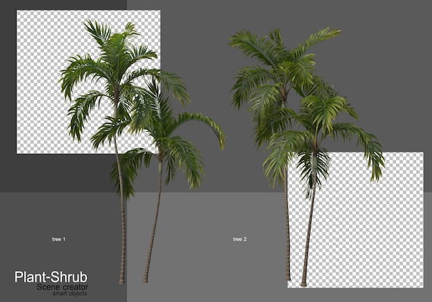 PSD さまざまなヤシの木や低木