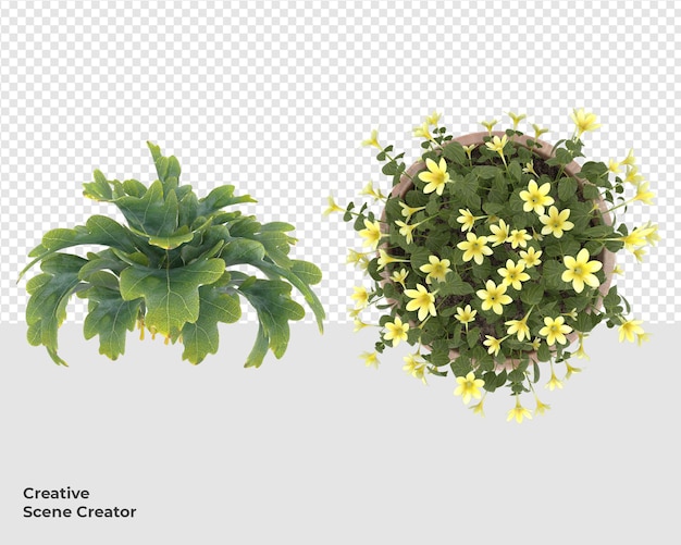 PSD ポット装飾デザインのさまざまな植物