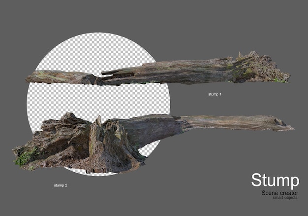 Various rocks and stumps