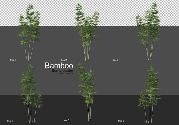 さまざまな形の竹のレンダリング