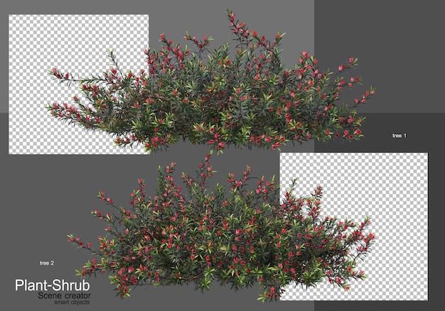 PSD さまざまな木や低木
