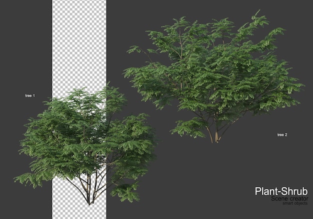Various trees and shrubs