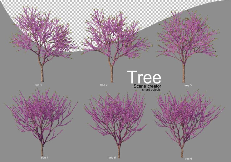 PSD various trees in full bloom with beautiful flowers 