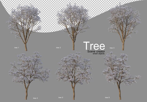 PSD Различные деревья в полном цвету с красивыми цветами