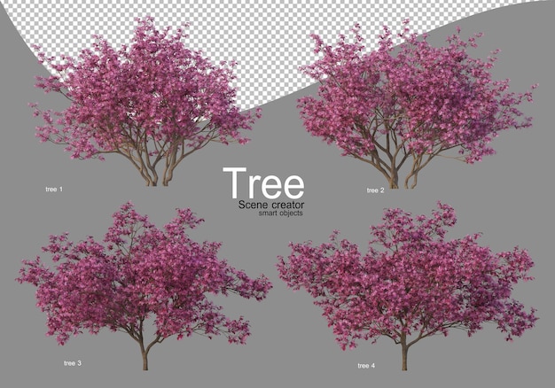 PSD Различные деревья в полном цвету с красивыми цветами