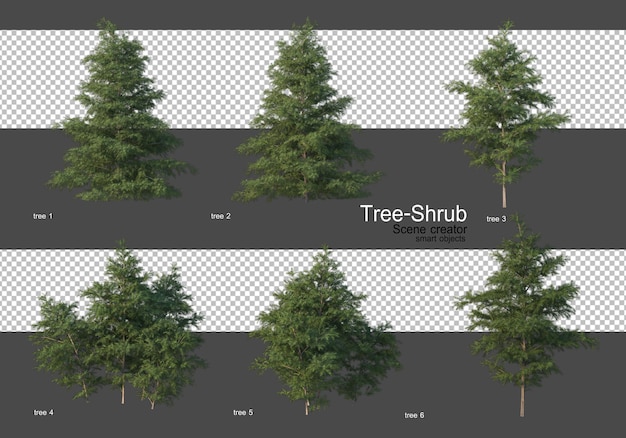 Various trees and shrubs