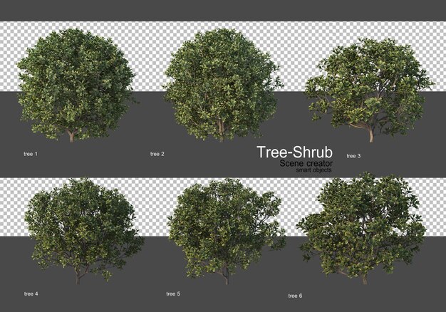 Various trees and shrubs