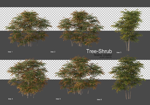 Various trees and shrubs