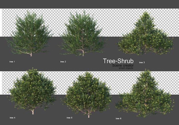 Various trees and shrubs