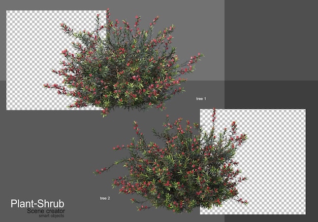 PSD various trees and shrubs