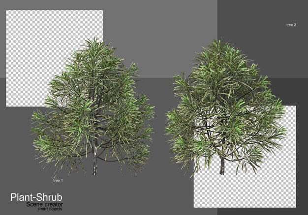 PSD various trees and shrubs