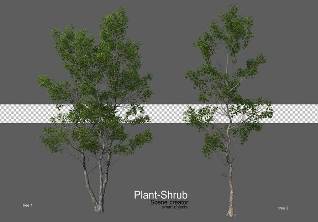 Various trees and shrubs