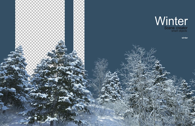 Vari alberi in inverno