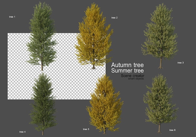 Various types of autumn and summer trees