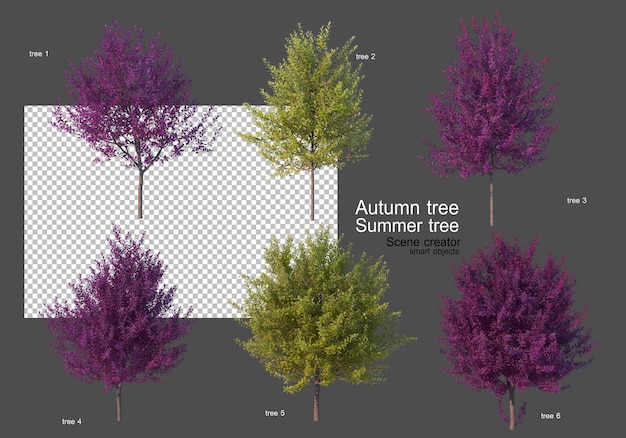 Various types of autumn and summer trees