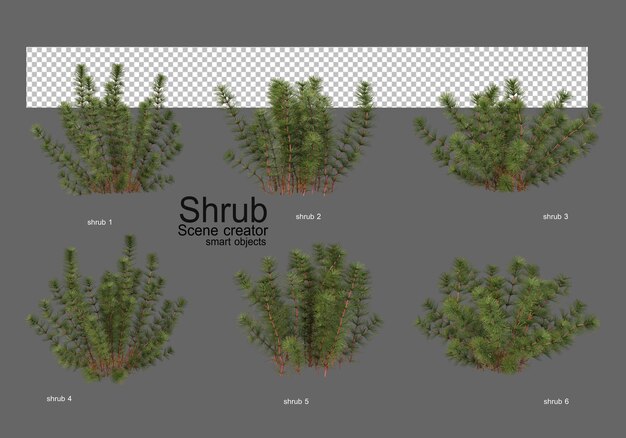 Various types of bushes for landscaping