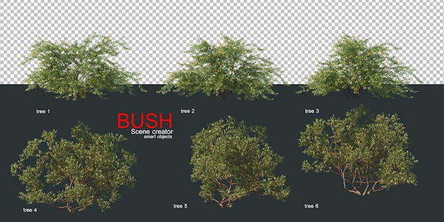 Various types of bushes