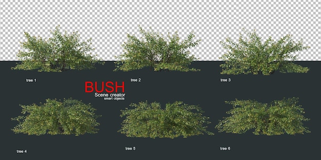 PSD various types of bushes