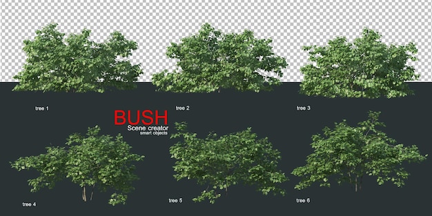 Various types of bushes