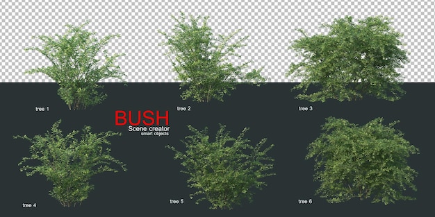 Various types of bushes