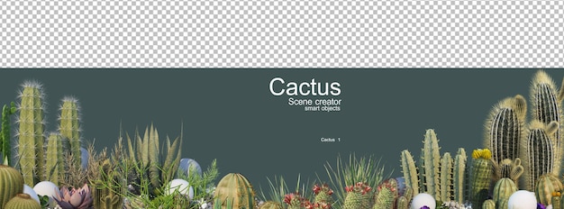 PSD various types of cactus garden