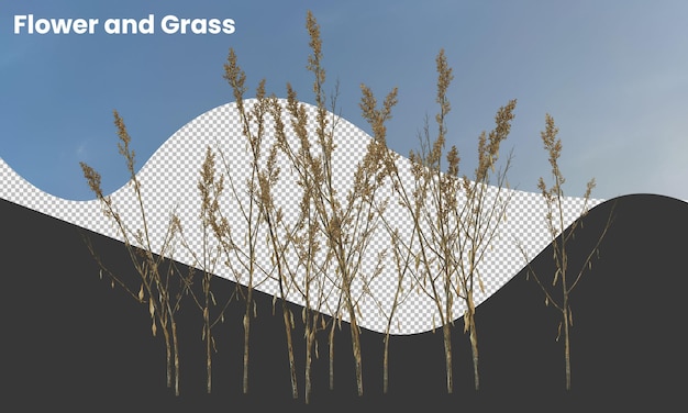 PSD vari tipi di piante secche, cespugli di erba, arbusti e piccole piante isolate