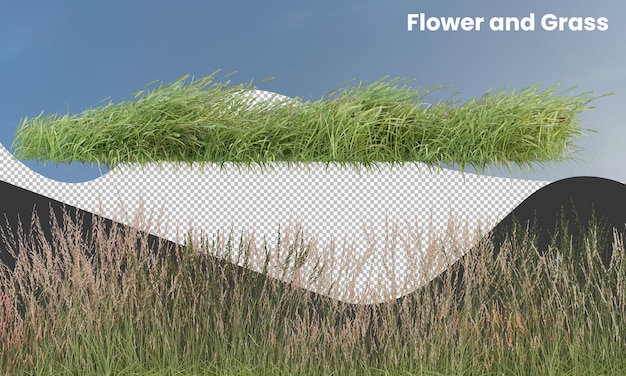 Various types of flowers grass bushes shrub and small plants isolated