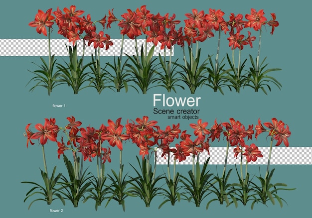 さまざまな種類の花さまざまな形