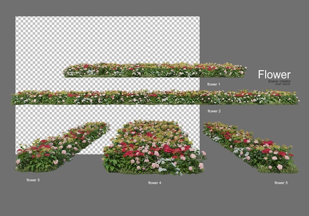 various types of flowers