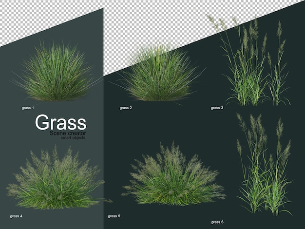 PSD various types of grass 3d rendering