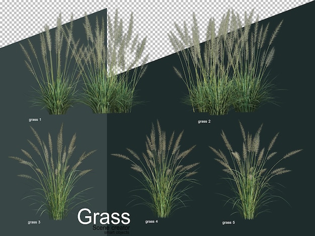 PSD various types of grass in 3d rendering