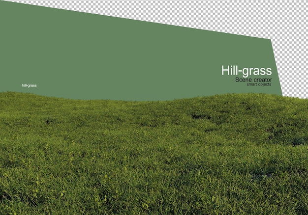Vari tipi di rendering dell'erba isolati