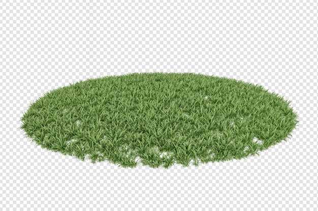 PSD various types of grass rendering isolated