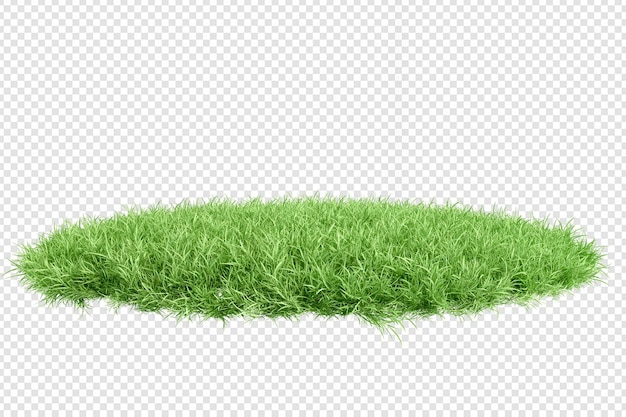 PSD various types of grass rendering isolated