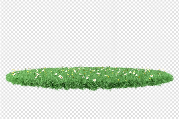 various types of grass rendering isolated