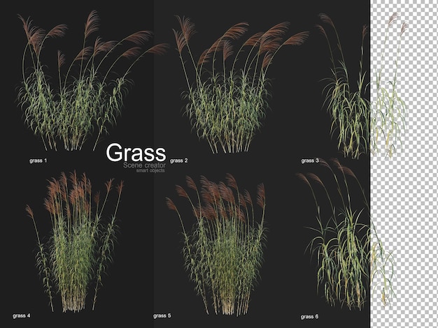PSD various types of grass rendering