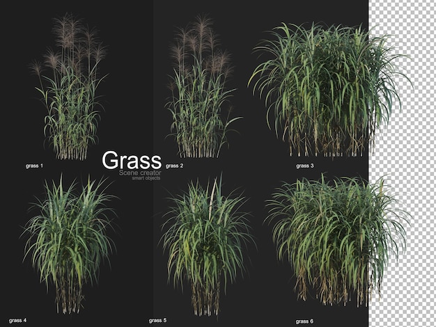 Various types of grass rendering