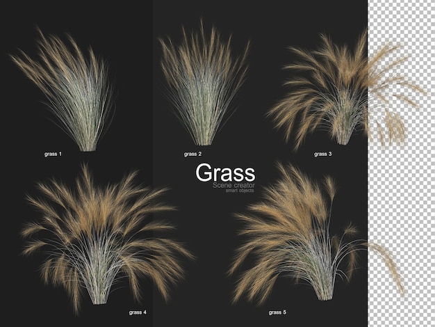 Various types of grass rendering