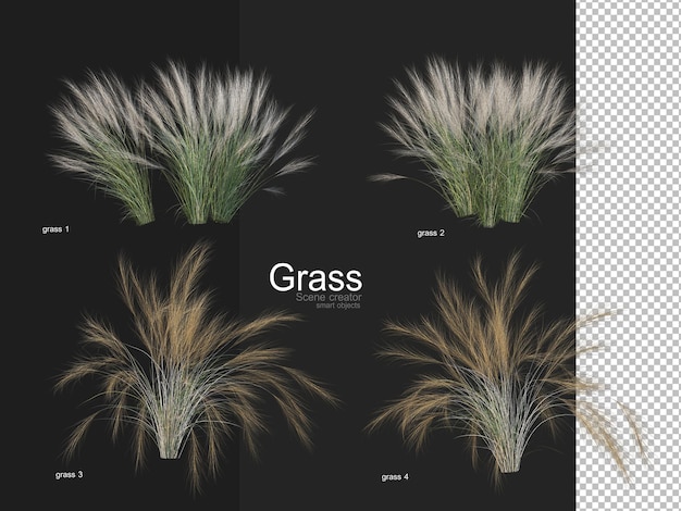 Various types of grass rendering