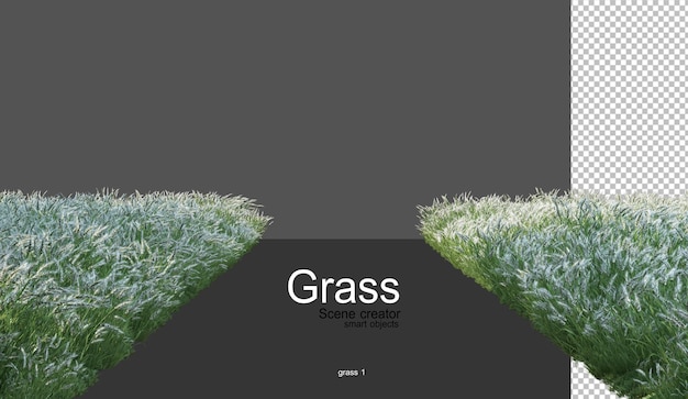 PSD various types of grass