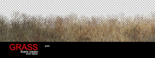 various types of grass