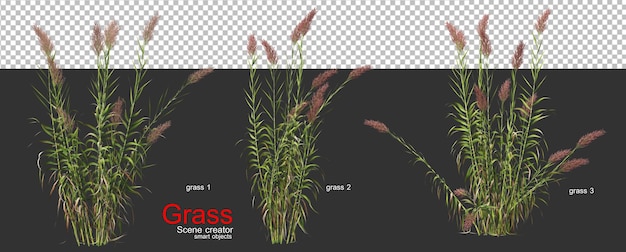 PSD various types of grass