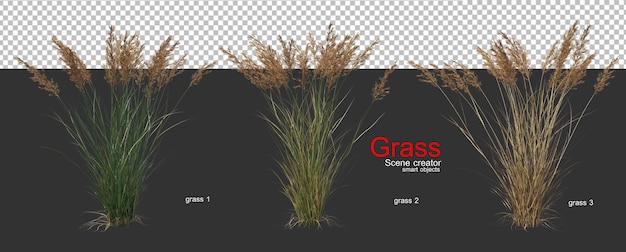 PSD various types of grass