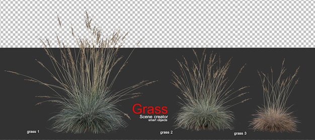 PSD various types of grass