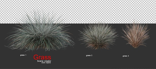 PSD various types of grass